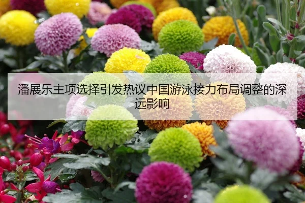 潘展乐主项选择引发热议中国游泳接力布局调整的深远影响