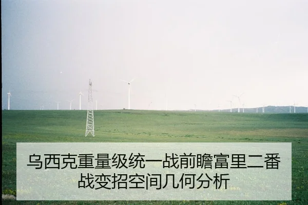 乌西克重量级统一战前瞻富里二番战变招空间几何分析