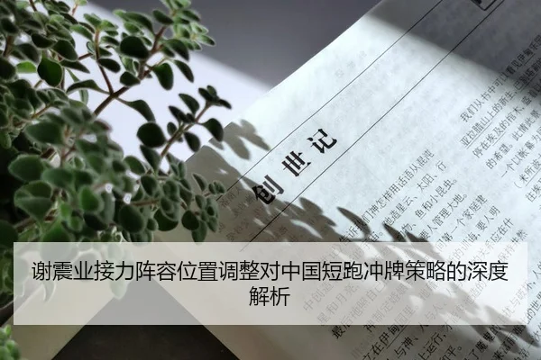 谢震业接力阵容位置调整对中国短跑冲牌策略的深度解析